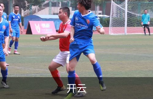 开云简介