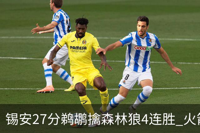锡安27分鹈鹕擒森林狼4连胜 火箭送篮网5连败
