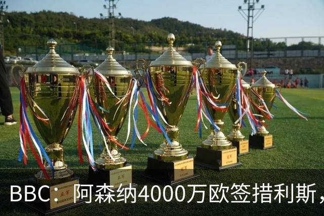 BBC：阿森纳4000万欧签措利斯，不影响球队今夏再买一名重磅前锋